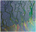 alt-J